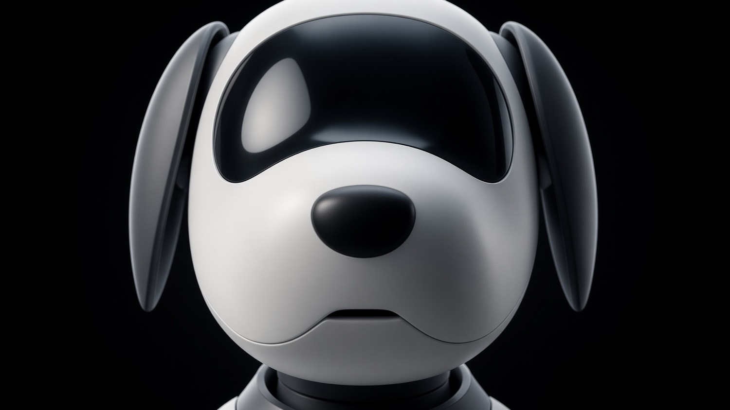 Glossy black visor and face